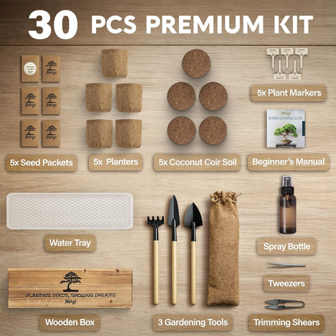 5X AVERGO Bonsai Tree Kit Classic - Unique Japanese Bonzai Trees | Complete Indoor Bonsai Starter Kits for Growing