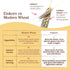 2 Lb, 3 Pack Jovial Organic Einkorn Whole Wheat Flour - Bread Baking Flour for Sourdough, High Protein, Non-GMO