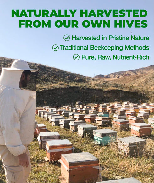 2026 3.53 OZ (100G) Tavusker Bee Bread Harvest, Fresh Perga Naturally Fermented Bee Pollen, Gluten Free