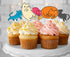 24-pack Food-safe Cake Toppers by Citadel Black, 100% Food-safe and Recyclable, Cupcake and Cake Toppers