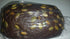 Gourmet Market Bakery Pack 3 European Pumpkin Seed Rye Bread
