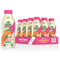 Saint James Iced Tea - Organic Green Tea - Non GMO, Gluten