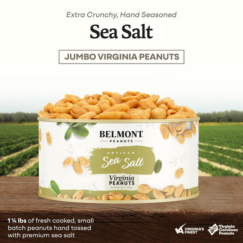 20 oz 25 oz 2) Belmont Peanuts Gourmet Virginia Peanuts, Sea Salt, + Honey Roasted, (Bundle of | Simple Ingredients, No