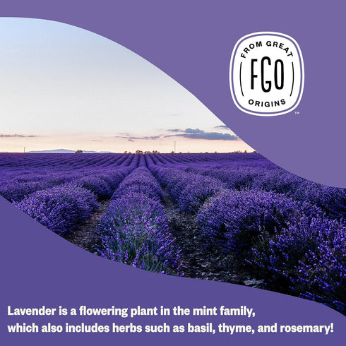 16oz Packaging (Pack 1) FGO Organic Dried Lavender Flowers, Extra Grade Dried Buds, Imported From France for Culinary