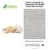 SHOPOSR Organic Garlic Powder | 8 oz (226g) | 100% Raw and Natural | USDA Organic & Non-GMO | Resealable Kraft Bag |