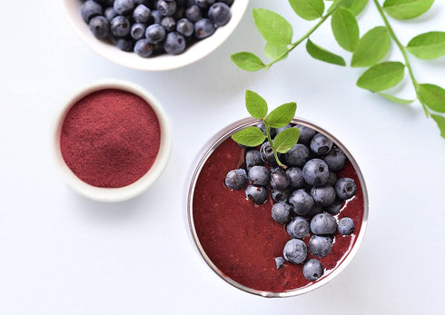 2 Food to Live Organic Blueberry Juice Powder, Pounds - Non-GMO, Unsulfured, Raw, Vegan, Bulk, Great for Juices