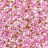 Manvscakes Pink Sprinkles - Gluten Free Cake Sprinkles for Valentines, Cookies, Chocolate, Fondant, Ice Cream Decoration