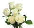 6 KaBloom PRIME NEXT DAY DELIVERY - Bouquet of Fresh cut White Roses with Vase .Gift for Birthday, Sympathy