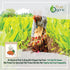 True Organic Ceylon Turmeric Powder, 1 Pound Bulk Bag, Certified Organic, Non-GMO, High Curcumin Content, Pure Ceylon