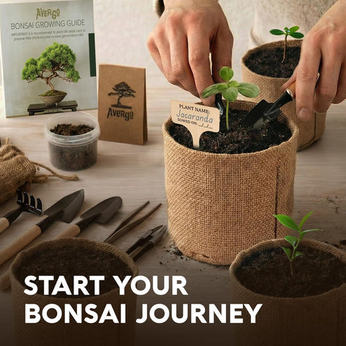 5X AVERGO Bonsai Tree Kit Classic - Unique Japanese Bonzai Trees | Complete Indoor Bonsai Starter Kits for Growing