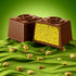 24 Count Fiorella Dubai Style Milk Chocolate Pistachio Squares, Filled Chocolate With Pistachio Butter & Crispy