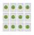 Pack 12 (12 Pack) Yogurt Starter Cultures - of Freeze-Dried Sachets for Lactobacillus Rhamnosus and L.Gasseri Yogurt
