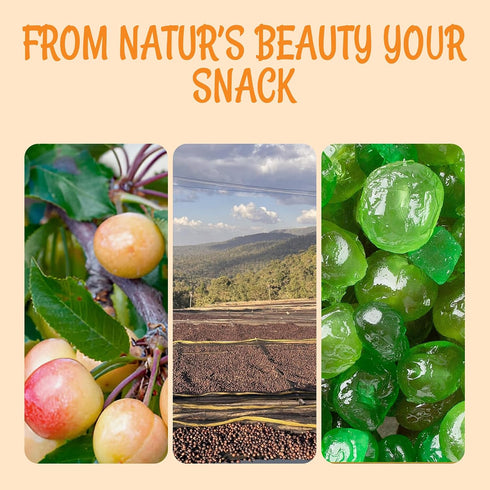 1 LB Packed Oh! Nuts Dried Green Cherries Candies - Sweetened Dried Fruit - Dehydrated Fruit Bites - in New York