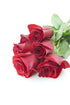 Stemmed 6 KaBloom - Long Red Roses Direct Fresh- Fresh Flowers for Birthday, Valentine's & Mother's Day
