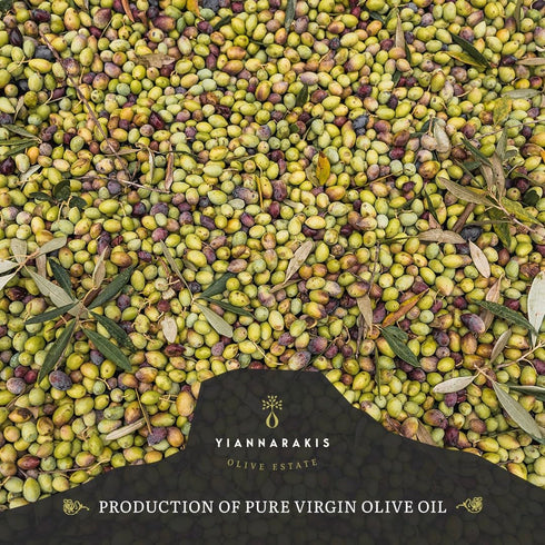 Generic Acidity(0.3-0.5) 500ml Elea Rokka - Yiannarakis Extra Virgin Olive Oil, Premium Early Harvest, Cold Pressed,Low