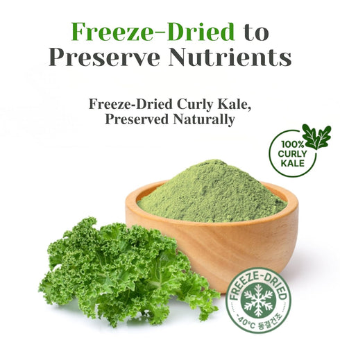 Packs 100% Packed, Pure Curly Kale Powder Stick Freeze-Dried Kale, Kale Powder, No Artificial Colors or Flavors