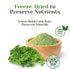 Packs 100% Packed, Pure Curly Kale Powder Stick Freeze-Dried Kale, Kale Powder, No Artificial Colors or Flavors