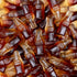 9 SHANI'S ROOTS SHOOTS Gummy Gummies (5 LB, Candy Bulk Bag Chewy with Sweet & Juicy Flavor, Party Size Fruity Candy
