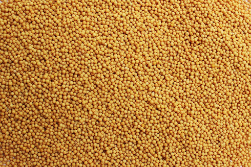 (5 LB) Aiva Yellow Mustard Seeds Bulk Pungent & Aromatic, Whole Spice for Cooking, Pickling, and Seasoning, Gourmet