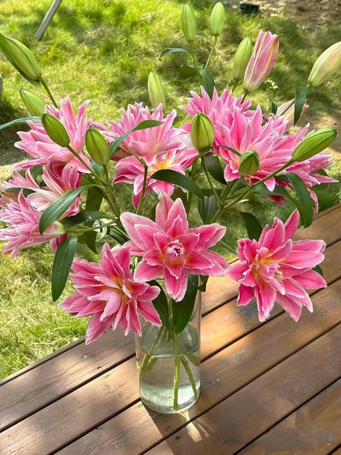 5 Stems Fresh Cut Double Lilies Long Lasting Fragrance Suitable for Hydroponic Flower Arrangements Shipped in Fresh Bud