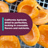 (1 lb) Bella Viva Orchards Organic Dried California Apricots - No Sugar Added, Dried Fruit Healthy Snack
