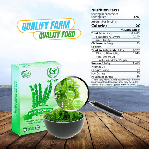 GCAP Sea Grapes – PREMIUM, 4.23 OZ of 6 Packs, Dehydrated Seaweed, Umibudo, Green Caviar, Lato Seaweed Superfood