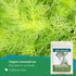 Horsetail (3 oz.) Horsetail (Equisetum Tea Organic - Organic Herb arvense) - Horse Tail Grass - Natural Silica-RichTea