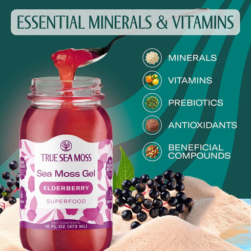Pack 1 TrueSeaMoss Sea Moss Gel Made in USA Wildcrafted Seamoss, Fruits & Jarred Vegetables Elderberry, of (Labels may