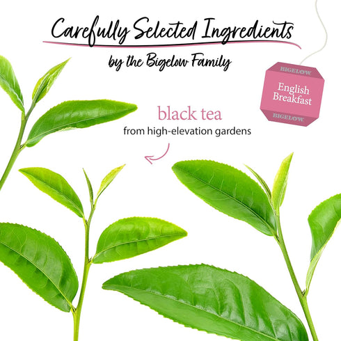 20 Count (Pack 6), 120 Bigelow Tea English Breakfast Black Tea, Caffeinated Tea, Box of Total Tea Bags