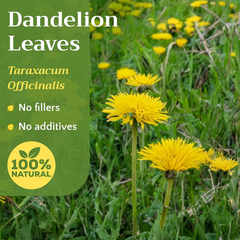 1lb (16 oz) Natural Dandelion Leaf Herb Tea - Cut and Sifted Dried Leaves - Loose Herbal Bulk