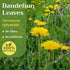 1lb (16 oz) Natural Dandelion Leaf Herb Tea - Cut and Sifted Dried Leaves - Loose Herbal Bulk