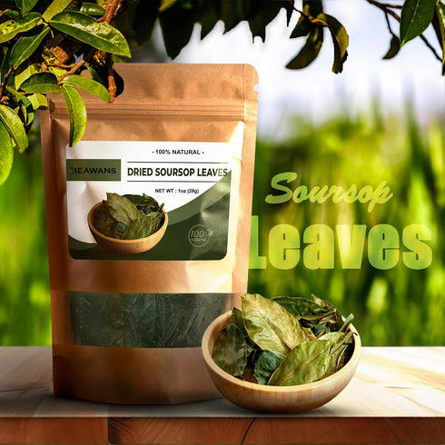 100% 1oz (28g) Natural Dried Soursop Leaves From Ceylon Sri Lanka