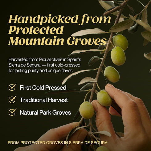 17 Oz, 500 ml Tierras de Tavara Selection | Ultra High Polyphenol Extra Virgin Olive Oil, First Cold Pressed Spanish