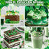 LEBERY 8 Oz Jimmies St. Patrick's Day Sprinkles Green Sprinkles for Cake Decorating White Green Mix Edible Mini Sugar