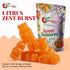 Gummy 5 Gummies Packaged Gummy NY Spice Shop Orange Bears - Pound Fruity Chewy Candy - Soft and Juicy Jelly - Bulk