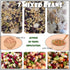 Generic 7 Pack (1 pack, 7 Jay One Grains Mixed for White Rice Mixed Bean)
