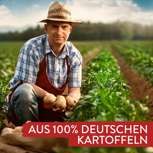 Pfanni 400g/14.1oz Bratkartoffeln Instant Fried Potatoes