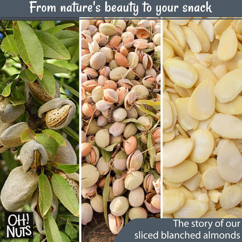 Oh Nuts Raw Almonds Bulk Pack - Almond Nuts for Snacking & Baking, High-Protein Sliced Almonds