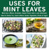 2 Oz Spices Village Mint Leaves, - Fresh Dried Spearmint Herbs, Crushed Mint Spice Great for Loose Leaf Tea, Dry Mint