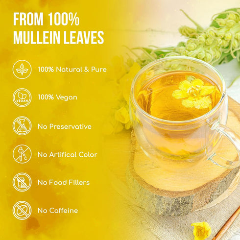 120 100% FreshDrinkUS, Premium Mullein Leaf Tea Bags For Lung, Natural & Pure from Mullein Leaves. Loose Leaf Mullein