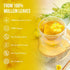 120 100% FreshDrinkUS, Premium Mullein Leaf Tea Bags For Lung, Natural & Pure from Mullein Leaves. Loose Leaf Mullein
