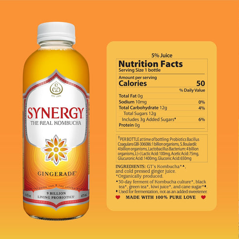 16 oz Immune SYNERGY The Real Kombucha - Gingerade - fl Bottle - Raw Probiotic Drink for Gut Health and Support