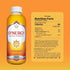 16 oz Immune SYNERGY The Real Kombucha - Gingerade - fl Bottle - Raw Probiotic Drink for Gut Health and Support