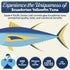 12 Pack 5 Oz 24g ONBOARD Premium Yellowfin Tuna in Spring Water - Solid Light Cans Sustainably Wild Caught Canned Tuna