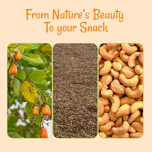 1 lb Packed Oh! Nuts Cashews Roasted Unsalted - - Roasted Unsalted Cashews - in New York Zip-Seal Bag for Exceptional