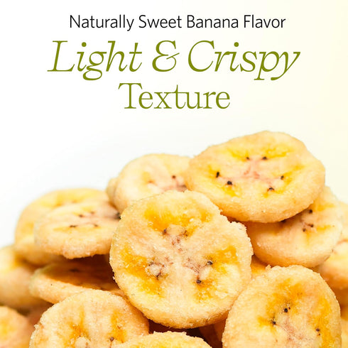 8.8 oz Vinamit Dried Banana Chips, Resealable Bag | Banana Chips Unsweetened, Non-GMO, Gluten-Free, No Added Sugar & No