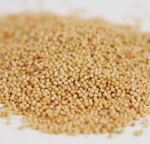 4oz (113g) Ramaroma Yellow Mustard Seeds Jar ~ All Natural | Vegan | Gluten Friendly | NON-GMO | Sarson |Organic Yellow