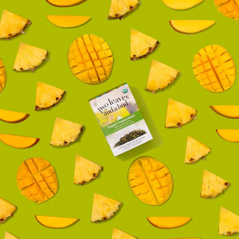 15 Count (Pack 1) Two Leaves and a Bud Organic Tropical Green Tea, Whole Leaf Sencha Green Tea