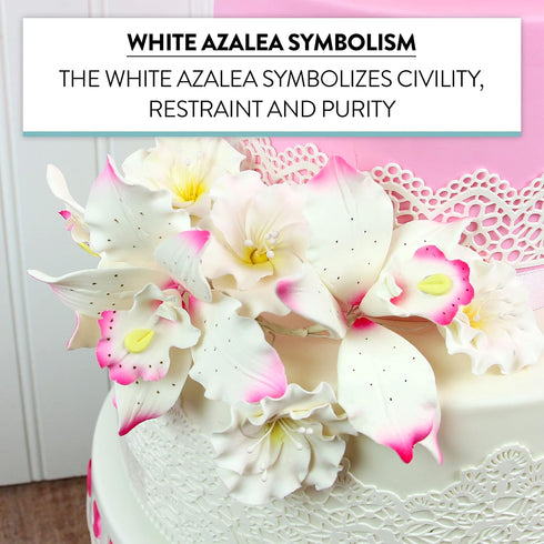 1.75 Inch 10 Count Global Sugar Art Azalea Sugar Cake Flowers White with Wire and Stamen, by Chef Alan Tetreault