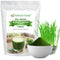 Z Natural Foods Organic Barley Grass Juice Powder - Made in USA,